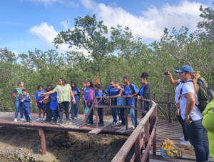 captura de tela 2026 04 07 113824