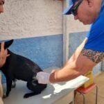 municipio realiza campanha de vacinacao antirrabica animal vacinacao antirrabica foto matheus muller 3