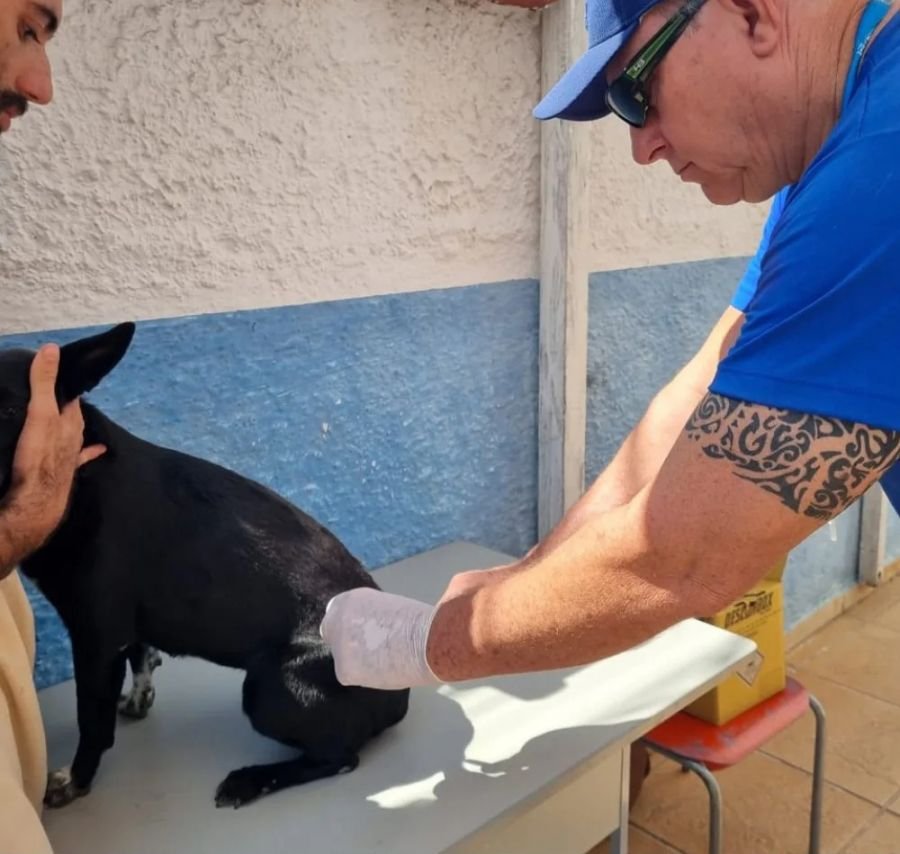 municipio realiza campanha de vacinacao antirrabica animal vacinacao antirrabica foto matheus muller 3