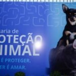 thumb prefeitura de duque de caxias entrega reforma da secretaria municipal de protecao animal