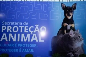 thumb prefeitura de duque de caxias entrega reforma da secretaria municipal de protecao animal