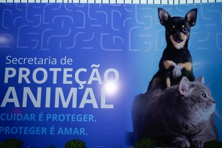 thumb prefeitura de duque de caxias entrega reforma da secretaria municipal de protecao animal
