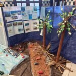 educacao promove feira eco ostras 2026 com foco em mudancas climaticas e inclusao whatsapp image 2026 07 02 at 10.47.24 900x675