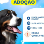 captura de tela 2026 08 19 111355