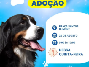captura de tela 2026 08 19 111355