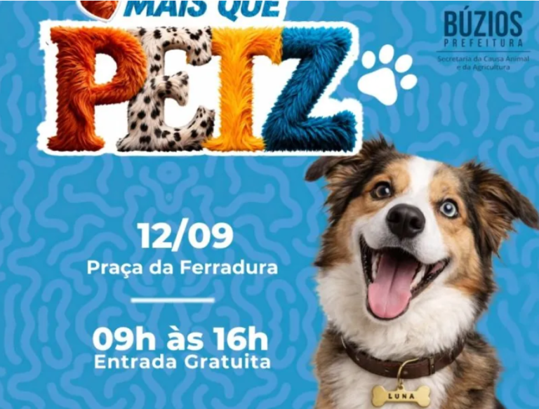 captura de tela 2026 09 09 123702