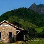 fundacao de cultura promove atividades em rocha leao por conta do setembro amarelo centro ferroviario de cultura guilherme nogueira
