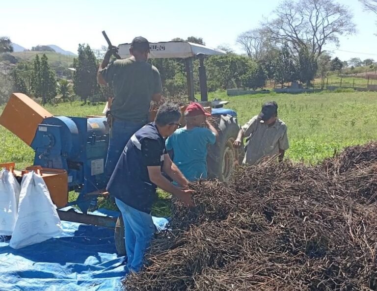 produtores de rio das ostras concluem colheita do feijao beneficiamento feijao cantagalo foto divulgacao 1