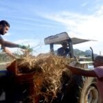 rio das ostras abre inscricoes para cursos gratuitos para produtores rurais feijao colheita foto jorge ronald 36