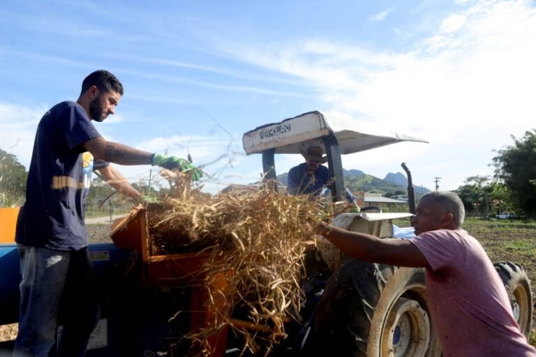 rio das ostras abre inscricoes para cursos gratuitos para produtores rurais feijao colheita foto jorge ronald 36