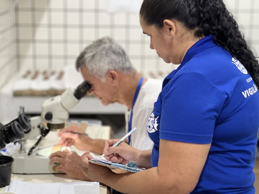MUNICÍPIO USA MÉTODO MAIS EFICAZ PARA IDENTIFICAR PRESENÇA DE AEDES AEGYPTI. municipio usa metodo mais eficaz para identificar presenca de aedes aegypti img 1015