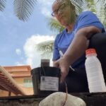 municipio usa metodo mais eficaz para identificar presenca de aedes aegypti img 1088