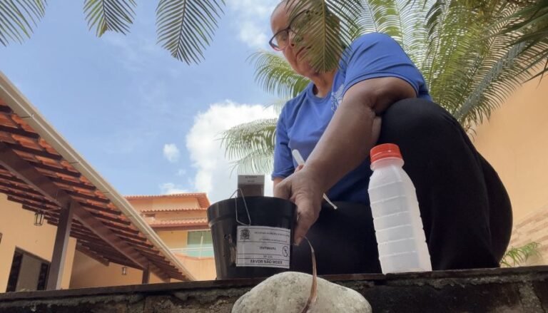 municipio usa metodo mais eficaz para identificar presenca de aedes aegypti img 1088