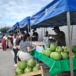 result feira